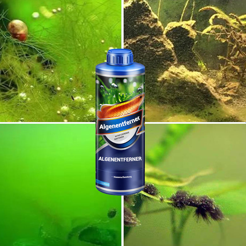 🔥Saldi caldi🔥Crazy Aquatic Weed Algae Remover per Algae King