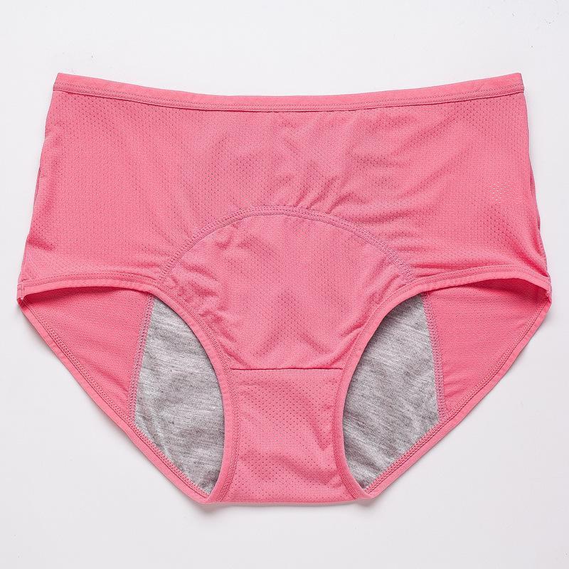 🌸KAUFE 5 UND ERHALTE 5 GRATIS 🌸2025 Neueste High Waist Leak proof Höschen
