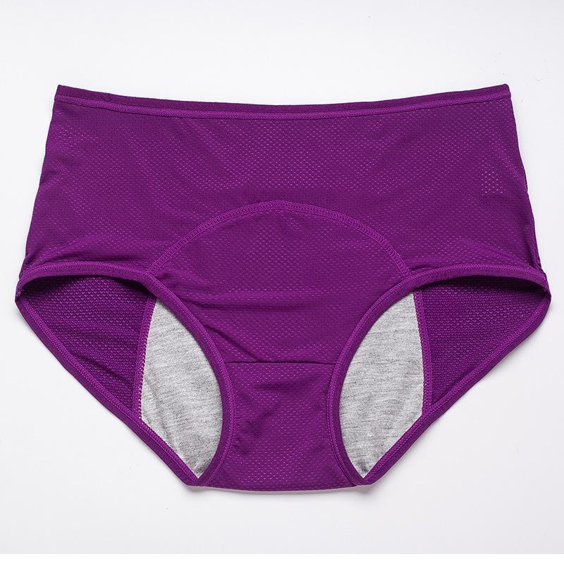🌸KAUFE 5 UND ERHALTE 5 GRATIS 🌸2025 Neueste High Waist Leak proof Höschen