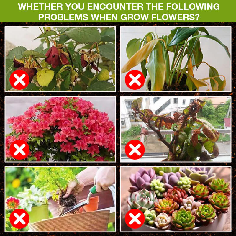 🔥Zwei kaufen, eins gratis dazu!Nahrungsergänzungsmittel zur Steigerung des Pflanzenwachstums🌿