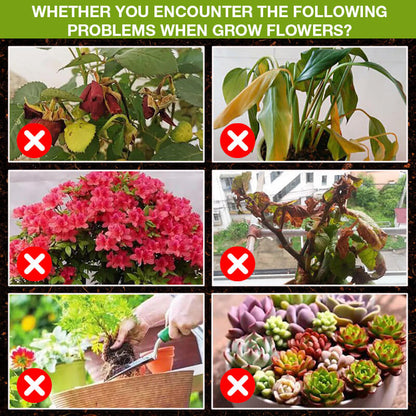 🔥Zwei kaufen, eins gratis dazu!Nahrungsergänzungsmittel zur Steigerung des Pflanzenwachstums🌿