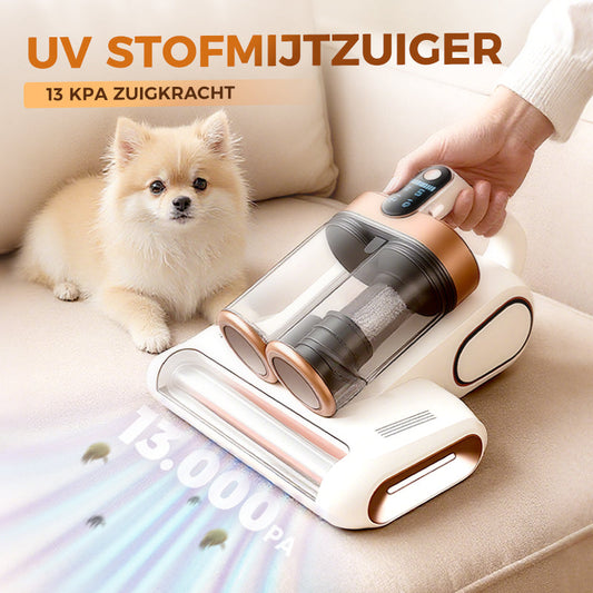 🔥🔥Sonderangebot: 20 Einheiten 50 % RABATT🎁💥Matratzenstaubsauger – Entfernt effektiv Hausstaubmilben 🛏️✨