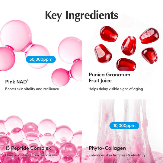 EQQUALBERRY NAD+ Peptide Boosting Cream – NAD+ 5% &amp; 13 Peptides Anti-Aging Korean Skincare Face &amp; Body Cream | Firming &amp; Lifting Pink Neck Cream for Sagging Skin (1.69 fl.oz / 50ml)