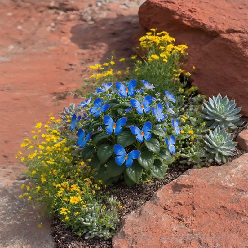 🦋 Whimsical Butterfly Shaped Flower Seeds ✨
