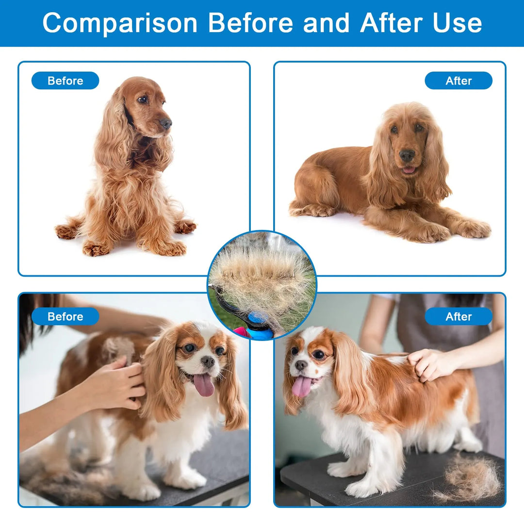 🐶Dual-Sided Pet Grooming Comb for Dogs &amp; Cats