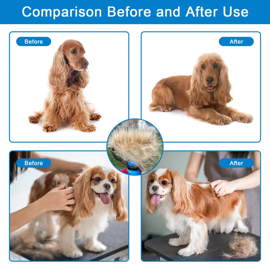 🐶Dual-Sided Pet Grooming Comb for Dogs &amp; Cats