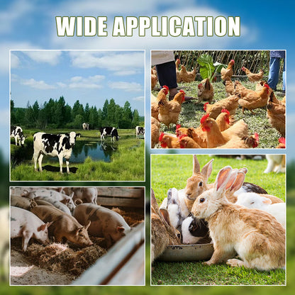 ⚙️ 50% RABATT! ✂️ Messerklingen für Haushalts-Grashäcksler – Robust, Langlebig & Einfach zu Wechseln 🌱