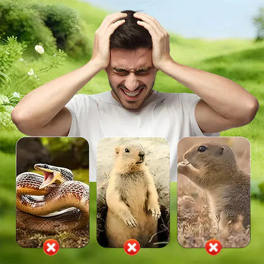 ⏰ 50 % RABATT – NUR NOCH 48 STUNDEN! ☀️💧 Wasserdichter Maulwurfsabwehr – solarbetrieben! 🐭🚫