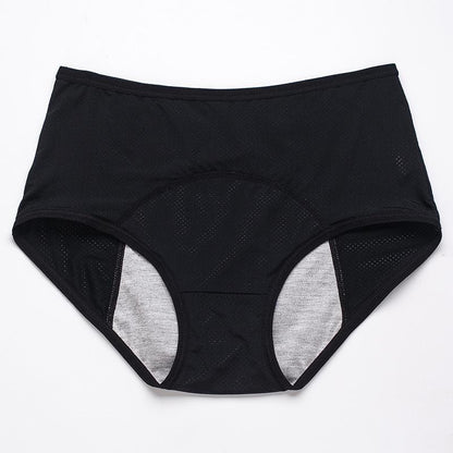🌸KAUFE 5 UND ERHALTE 5 GRATIS 🌸2025 Neueste High Waist Leak proof Höschen