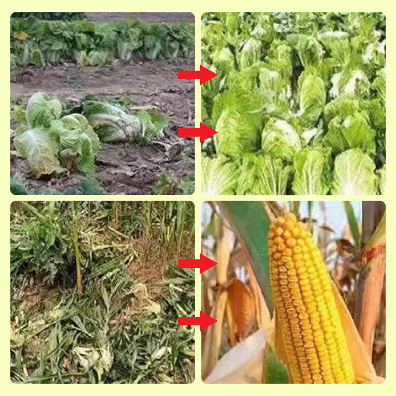 🔥🔥Solarbetriebene Tierabwehr-Warnlichter mit lautem Alarm