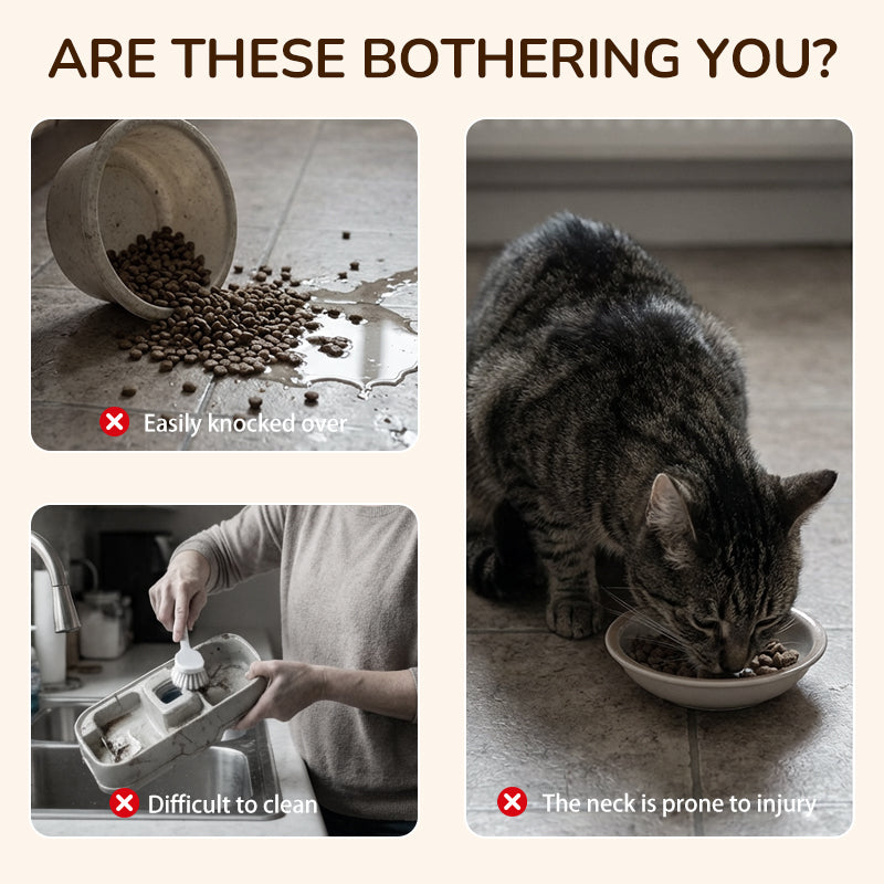 Rutschfester, erhöhter Futtertrog mit 3 Schalen für Haustiere🐾