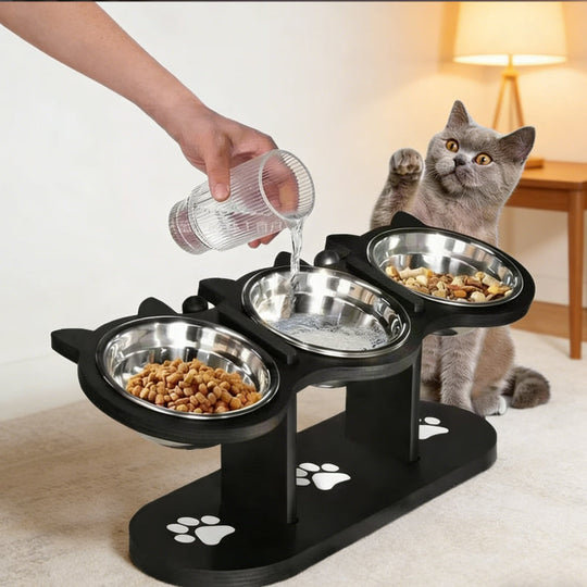 Liukumaton, korotettu ruokintakaukalo, jossa on 3 ruokakuppia lemmikeille🐾