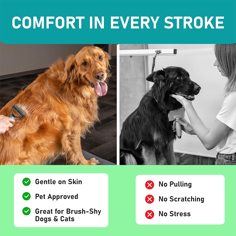 🐶🐱 Pet Owners&