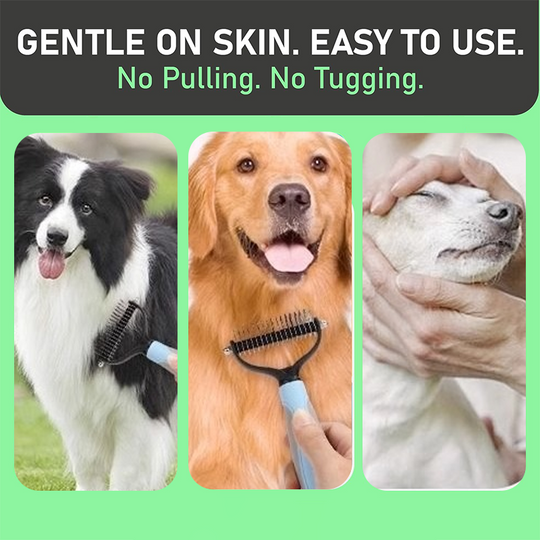 🐶🐱 Pet Owners&